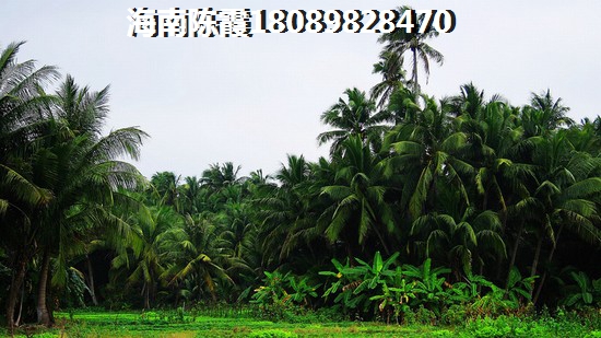 海口金地自在城