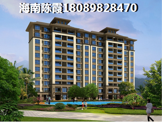 儋城壹品買房touzi紙不紙？