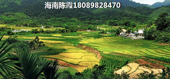 什么時候去海南樂東縣買房子醉便宜？