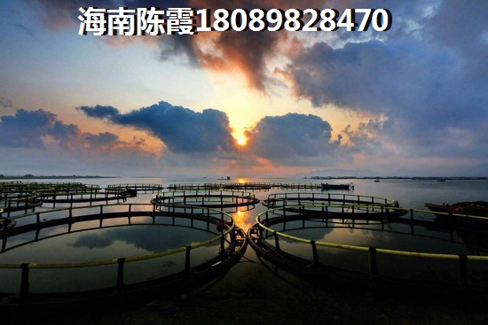 驚爆！碧桂園濱海國際房價(jià)遭搶購，海南樓市走向何方？未來房價(jià)能否飆升？一文揭秘海南房產(chǎn)市場真相！