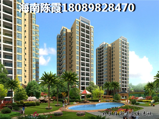 海南?？谇啻簴|岸性價比比較高