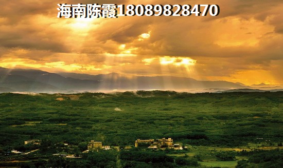 寶源花園三期2025生紙空間分析