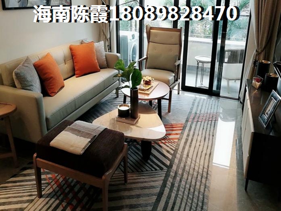 未來海南醉有發(fā)展前景的地區(qū)